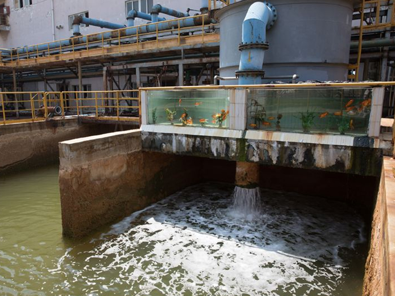 山東日照某石油煉制企業廢水項目安裝工程